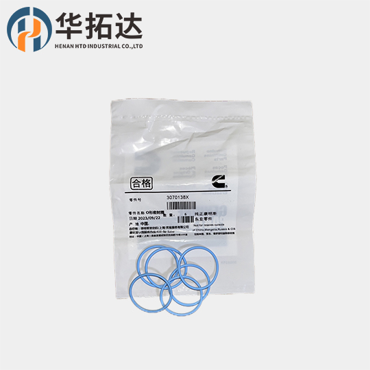 3070138X Cummins O Ring Seal