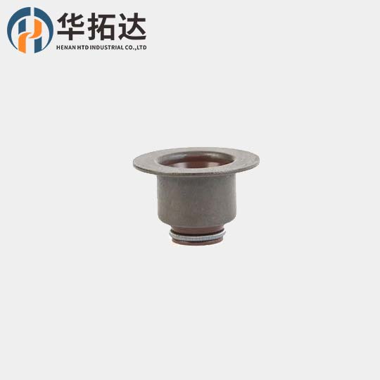 Valve Steam Seal 5338750 5338750F for Foton Cummin