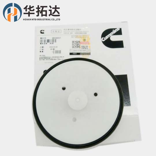 New Crankshaft Rear Oil Seal  3693669 3693669F