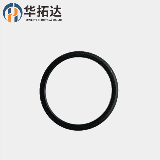 Cummins D Ring Seal 4995185F 4995185 for ISF/QSF e