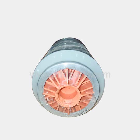 Fleetguard Fuel Water Separator Filter FS20170 for Cummins Diesel Engines