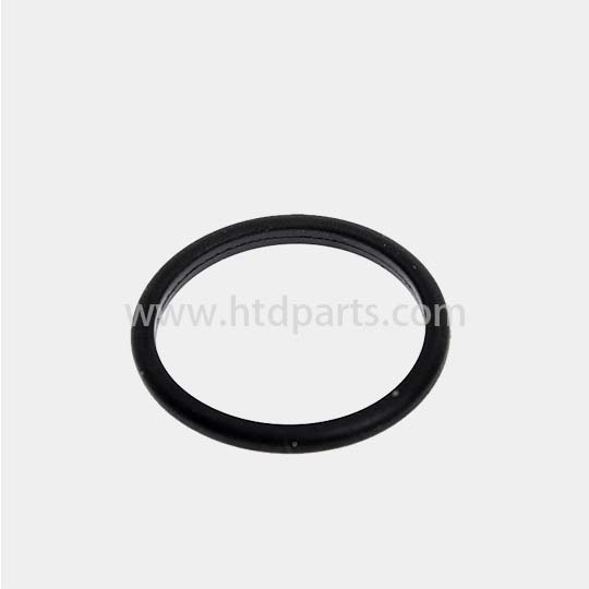 Cummins D Ring Seal 4995185F 4995185 for ISF/QSF engines