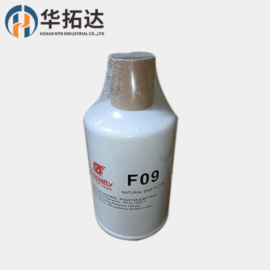 Natural gas filter F09 replaces NG5900, P550735, B